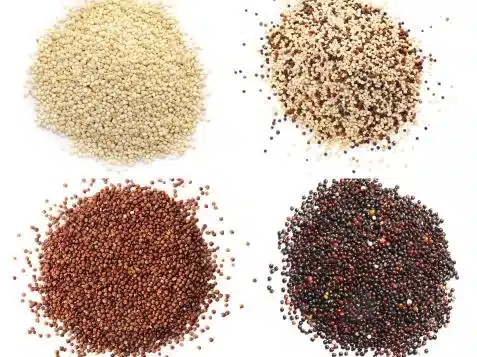 Which grains are fastest to cook?