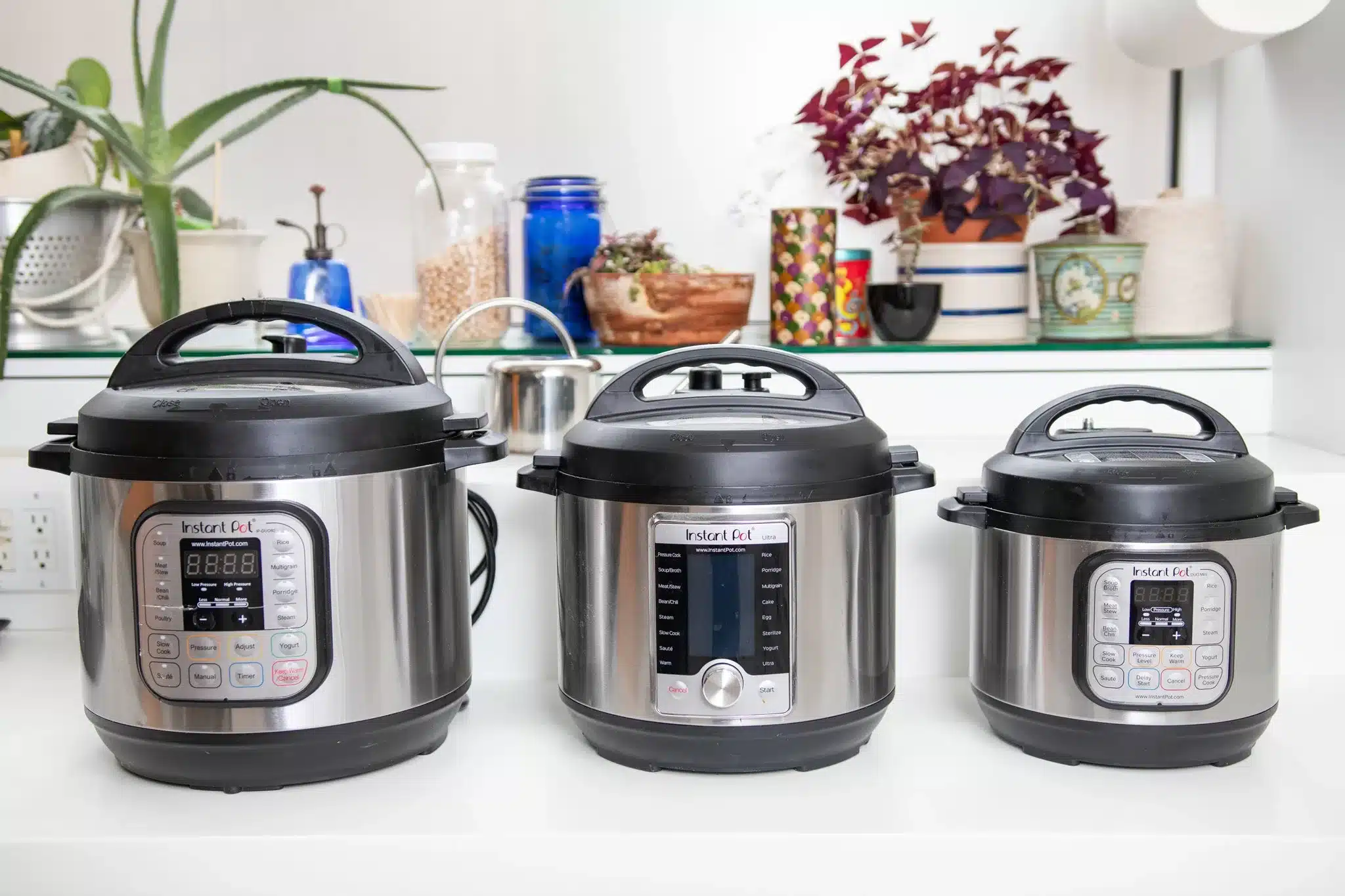 Which Is The Best Instant Pot?