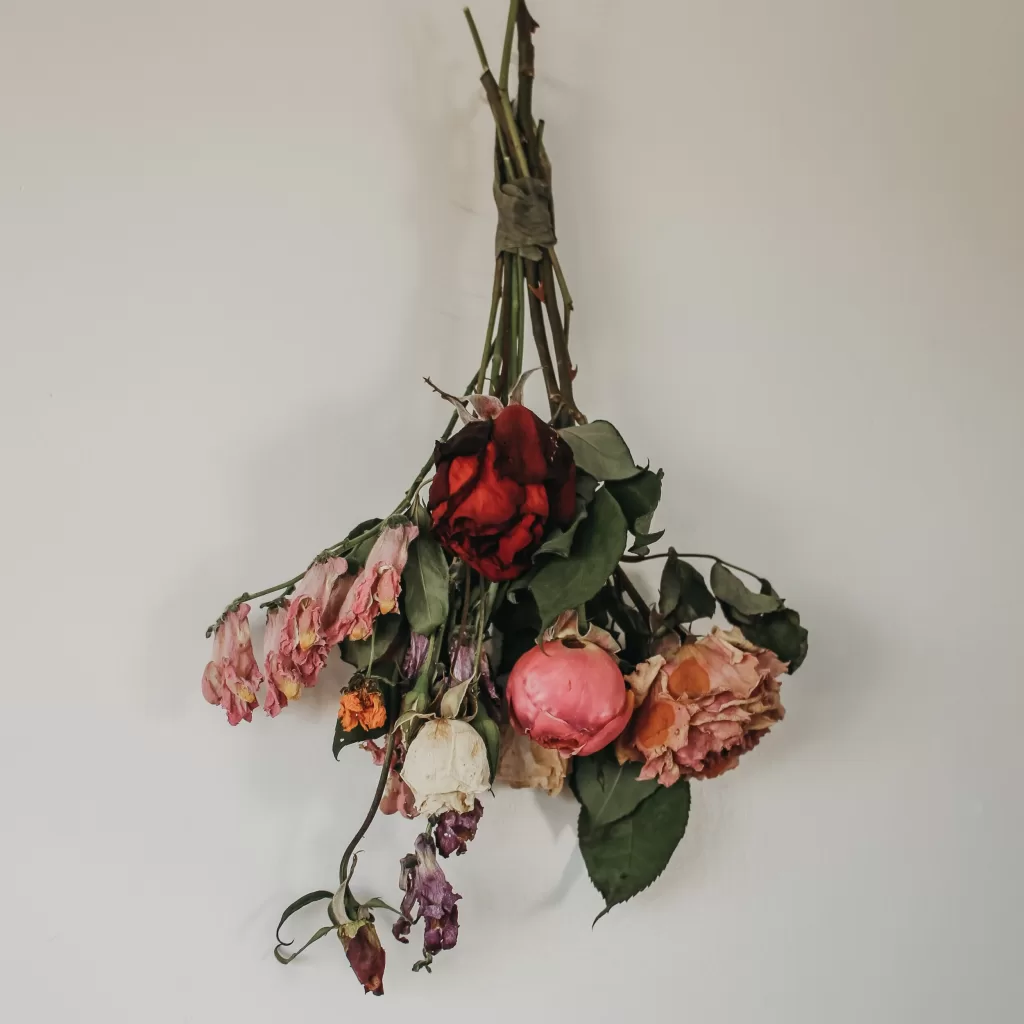  how to dry flowers in the microwave a quick and easy guide press to cook