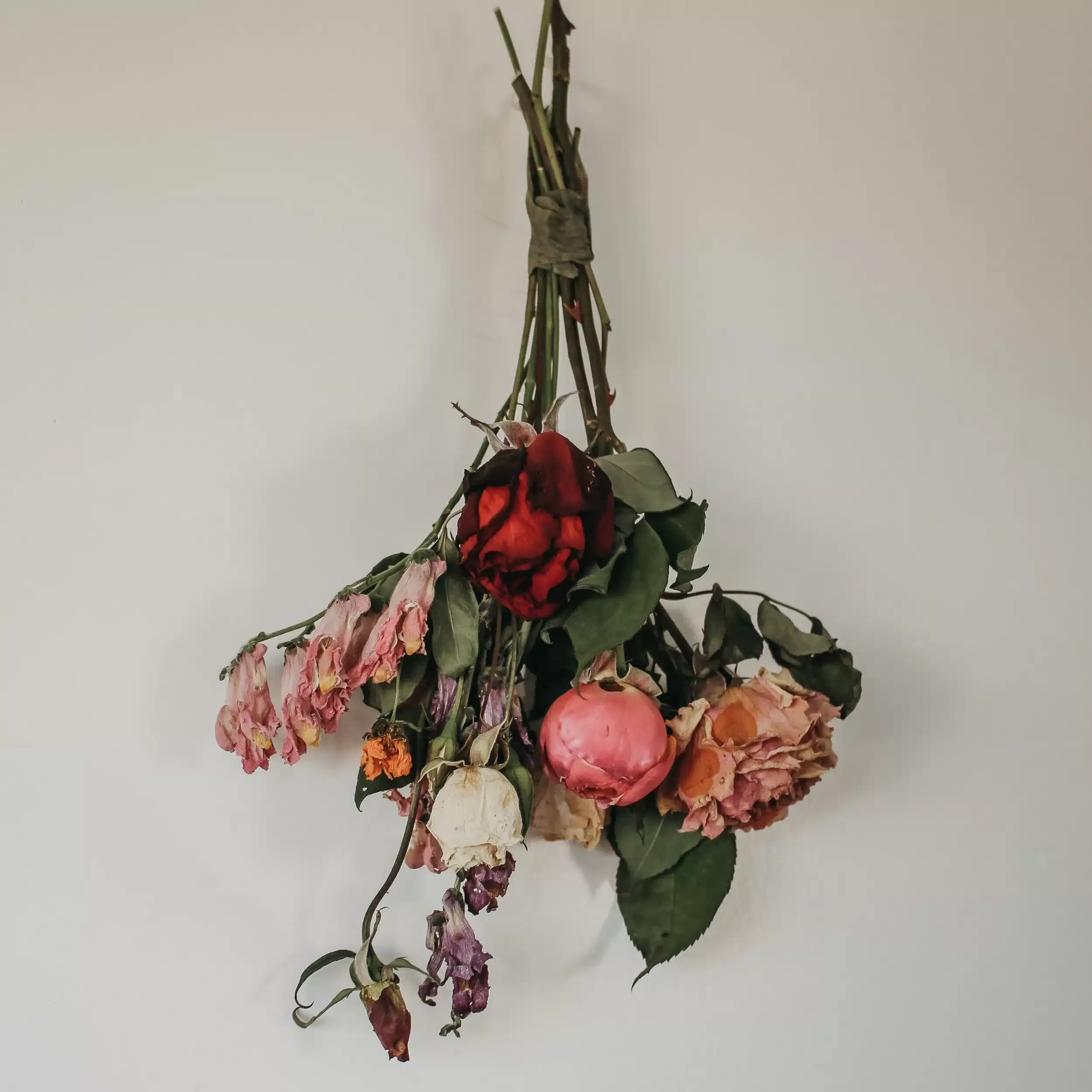 How to Dry Flowers in the Microwave: A Quick and Easy Guide