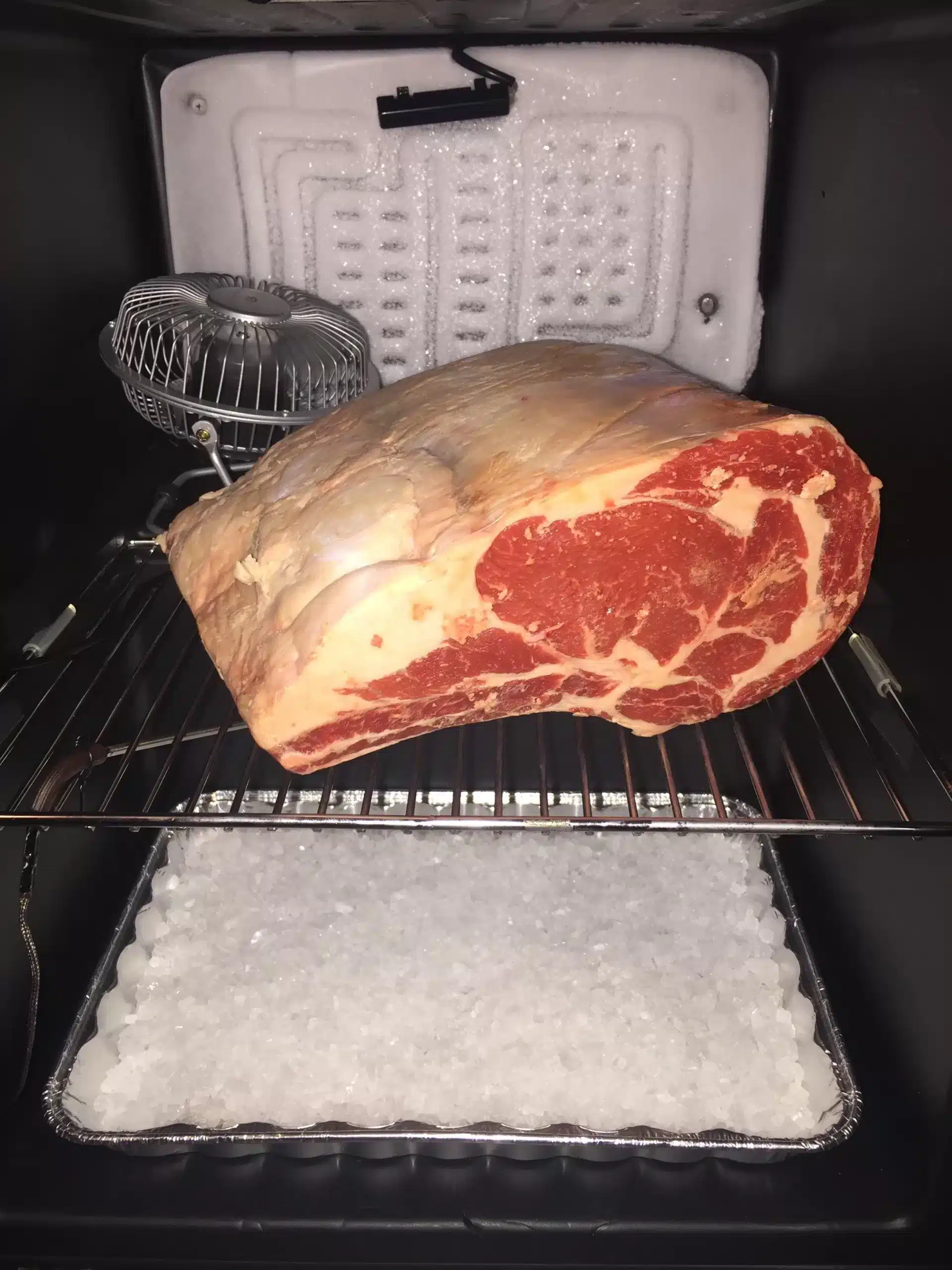 can-i-store-meat-in-a-mini-fridge