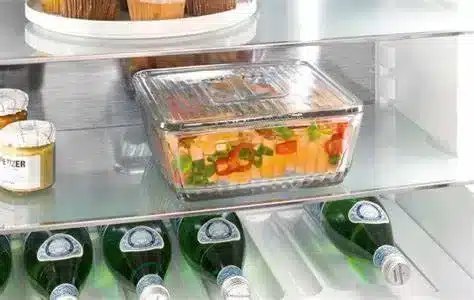 is-it-okay-to-put-hot-food-in-the-refrigerator