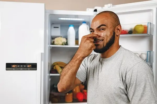 how-to-get-the-smell-out-of-refrigerator-after-power-outage
