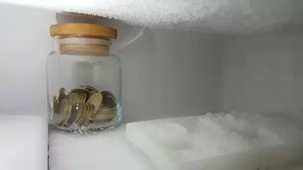 coins-in-freezers