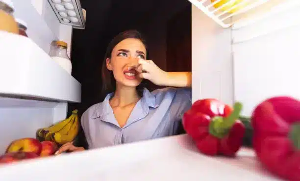 freezer-chemical-smell