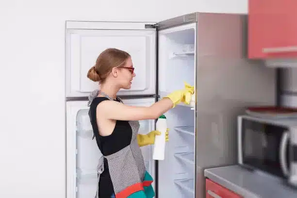 how-to-clean-samsung-fridge
