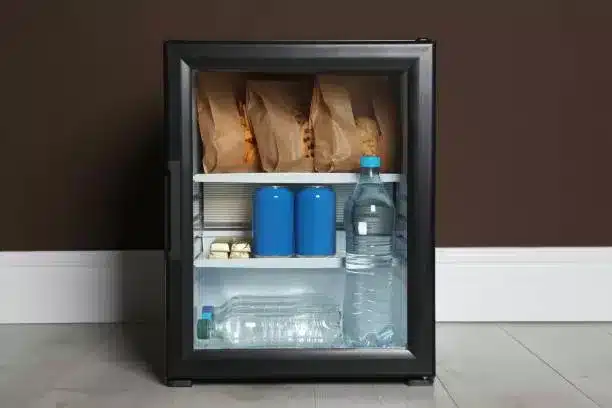 can-you-put-a-mini-fridge-outside