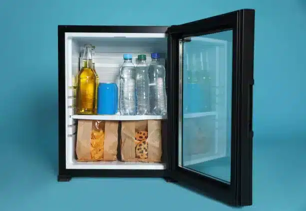 what-to-put-in-your-mini-fridge