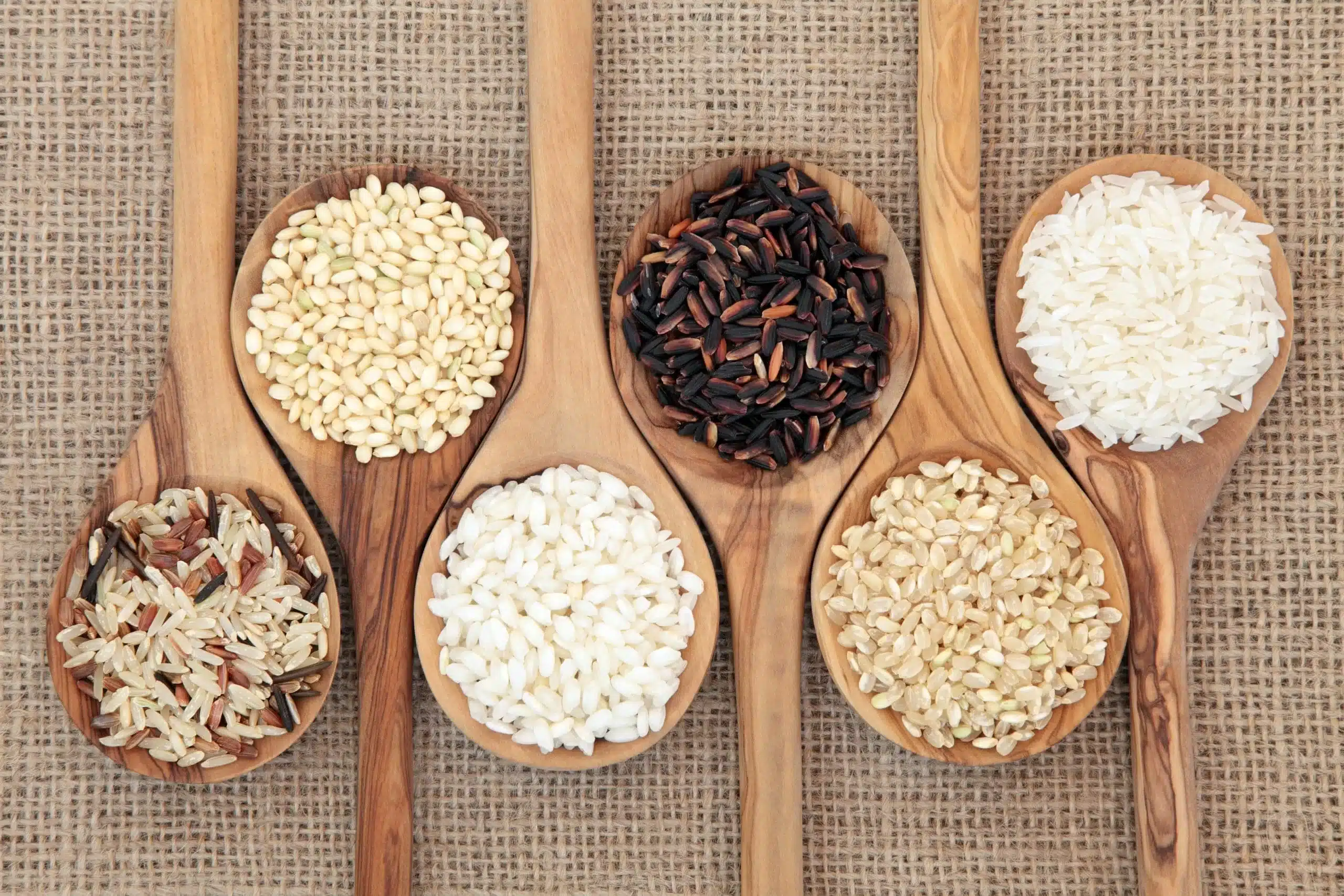 different-types-of-rice-in-a-rice-cooker