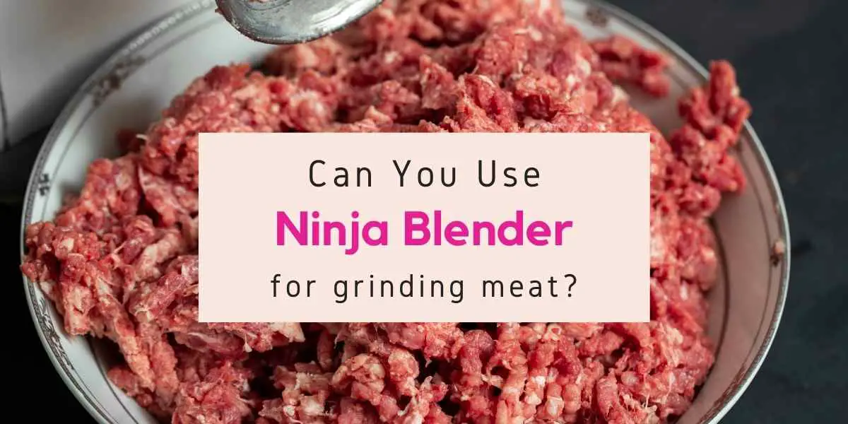 can-i-grind-meat-in-my-ninja-blender