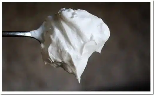 can-you-whip-cream-in-a-ninja-blender